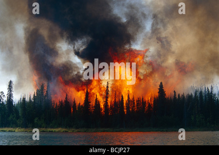 Blazing forest fire in Kenai Wildlife Refuge, Skilak Lake, Alaska, Estate. Foto Stock