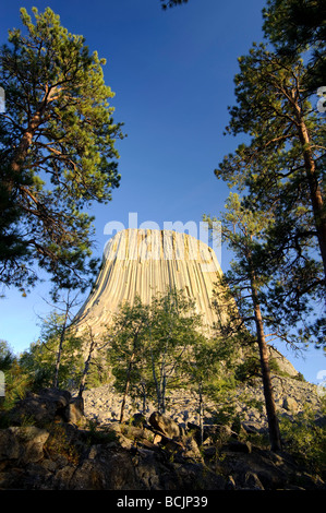Devil's Tower monumento nazionale, Wyoming USA Foto Stock