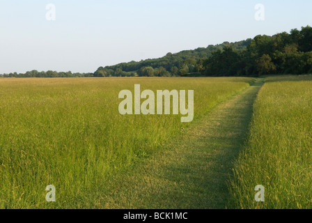 Runnymede la Magna carta il prato d'acqua. Egham vicino a Windsor Surrey Inghilterra anni '2006 2000 UK HOMER SYKES Foto Stock