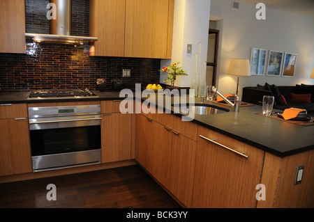 Una cucina in Visionaire, un edificio di appartamenti in Lower Manhattan che ha ricevuto il LEED Platinum. Foto Stock