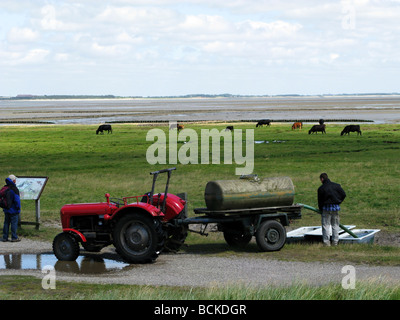 L'uomo la lettura di una nota informativa di bordo come un agricoltore riempie acqua trogoli Isola di Amrum Germania Foto Stock