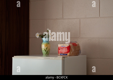Margherite in un vaso e Ranuncolo bianco a fette di pane sulla parte superiore di un frigorifero in un motel in Australia Foto Stock