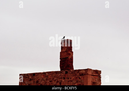 Crow sulla cima di un camino in città deserta di Silverton Australia Foto Stock