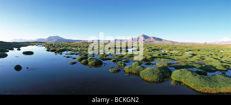 Peperoncino, El Norte Grande, Lauca Parco Nazionale Laguna Cotacotani, paesaggio palustre con le montagne in distanza Foto Stock