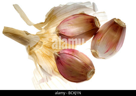 Spicchi di aglio su sfondo bianco Foto Stock