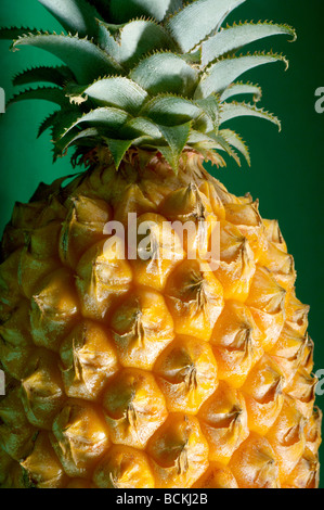 Ananas su sfondo verde Foto Stock