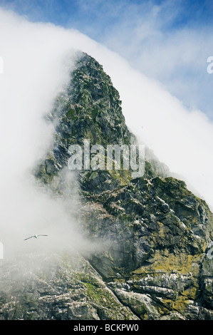 Foschia sopra Boreray isola, grandi Gannet colonia, Minion Scozia, Sito del Patrimonio Mondiale Foto Stock