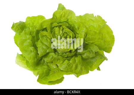 Insalata verde su sfondo bianco Foto Stock
