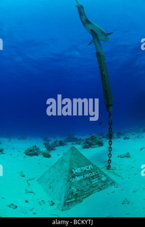 Primo sottomarino monumento di squalo in tutto il mondo a Hurghada, Egitto Foto Stock