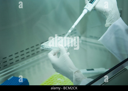 Assistente di laboratorio esperimento di conduzione, vista ritagliata delle mani Foto Stock