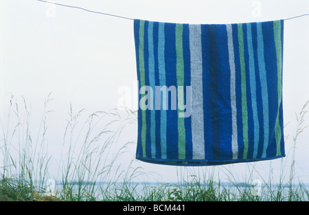 Spiaggia a strisce asciugamano appeso su vestiti-linea, erba alta in background Foto Stock