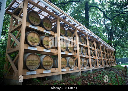 Botte di vino offerte presso Meiji Jingu a Tokyo Giappone Foto Stock