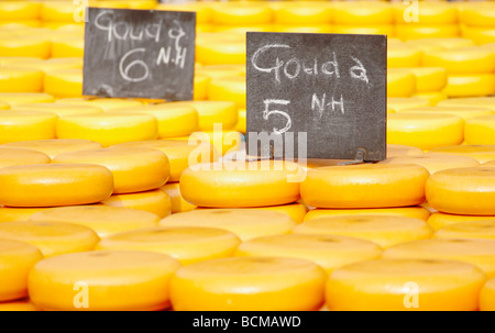 Noord Hollandse formaggio Gouda a Alkmaar Cheesemarket, Alkmaar, North Holland, Paesi Bassi. Foto Stock