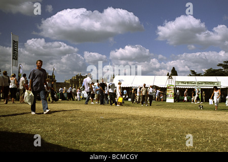 British Deer Society stand al 2008 CLA Game Fair, Blenheim Palace, Oxford Foto Stock