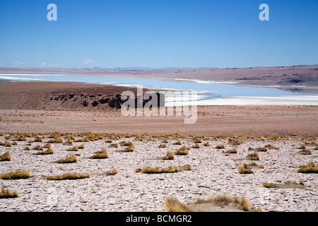 Tara Salt Lake, altipiano andino, Cile Foto Stock