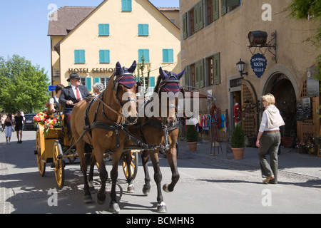 Meersburg Baden Wurttemberg Germania UE Due cavalli marrone tirando i turisti su open top tour in carrozza Foto Stock