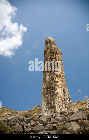 Trunk pietrificato in Lesbo, Grecia Foto Stock