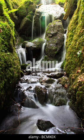 Canonteign Falls, Devon, Inghilterra Foto Stock