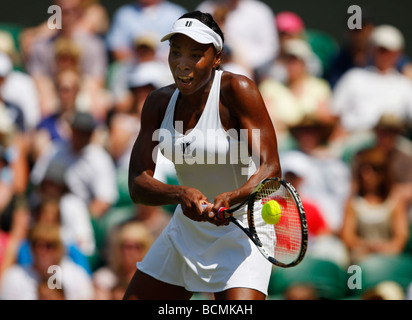 Campionati di Wimbledon 2009, Venus Williams USA in azione Foto Stock