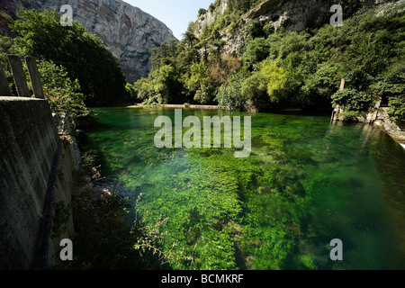 Sorgue fiume vicino alla sua sorgente vicino a Fontaine de Vaucluse Provence Francia Europa Foto Stock