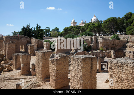 Vicino a Tunisi, la leggendaria città di Cartagine fu fondata dai Fenici nel 814 A.C. e distrutta dai Romani nel 146 A.C. Foto Stock