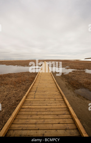 Una piattaforma per il Birdwatching sul suono di sicurezza Foto Stock