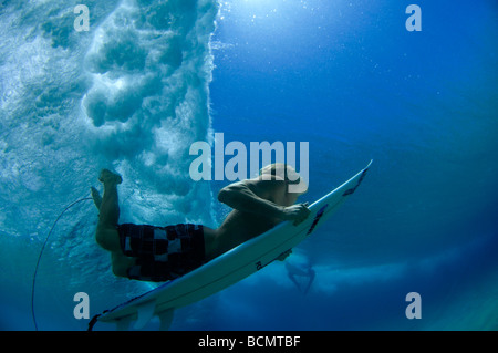 Duck immersione sotto wave Foto Stock