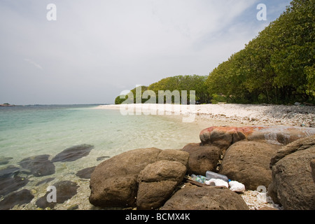 Pigeon Island di Nilaveli Beach, Trincomalee, Sri Lanka - un piccolo idilliaco isola con rish coral letti e ottimo snorkeling. Foto Stock