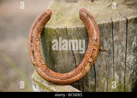 Ferro di cavallo appoggiata su di un palo da recinzione Foto Stock