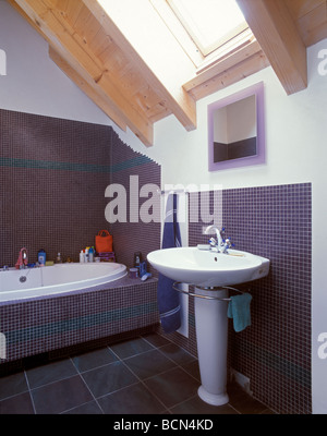 Bagno in legno ecologico house, Irlanda Foto Stock