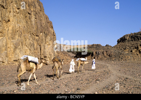 Sudan nubia nomadi Bisharin atrum cratere deserto Bayuda Foto Stock