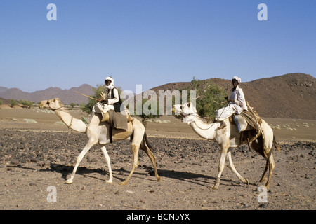 Sudan nubia nomadi Bisharin atrum cratere deserto Bayuda Foto Stock