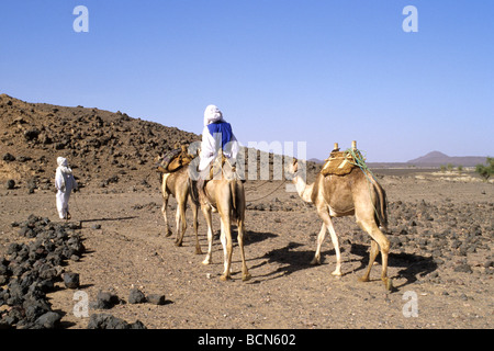 Sudan nubia nomadi Bisharin atrum cratere deserto Bayuda Foto Stock