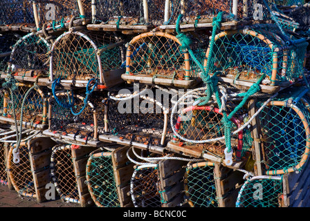 Aragosta bicchieri impilati su una banchina Foto Stock