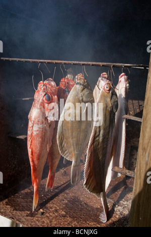 Fumato pleuronettiformi rombo chiodato e il pesce persico in home fatto fumigare forno Foto Stock