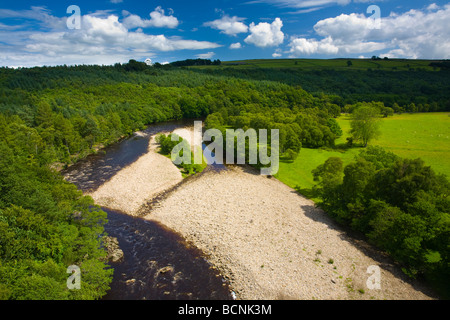 Inghilterra Northumberland il Sud del Fiume Tyne fluente attraverso una valle di boschi e campi visualizzati da Lambley viaduct Foto Stock