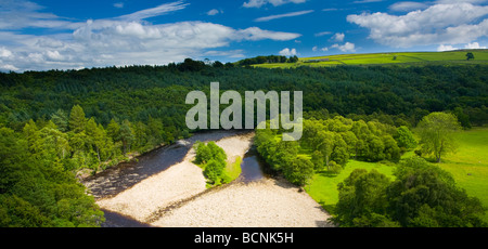 Inghilterra Northumberland il Sud del Fiume Tyne fluente attraverso una valle di boschi e campi visualizzati da Lambley viaduct Foto Stock
