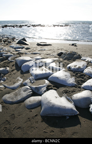 I sacchi di sabbia usati come barriera sulla riva del mare Foto Stock