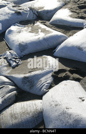 I sacchi di sabbia usati come barriera sulla riva del mare Foto Stock