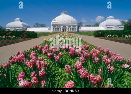 Buffalo and Erie County Botanical Gardens di Lackawanna New York Foto Stock