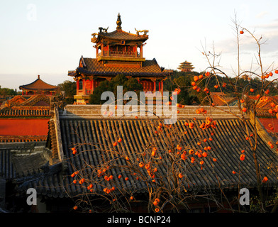 Padiglione della pioggia di fiori, Città Proibita a Pechino, Cina Foto Stock