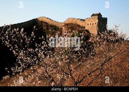 Grande Torre di Jinshan, Jinshanling Great Wall, nella provincia di Hebei, Cina Foto Stock