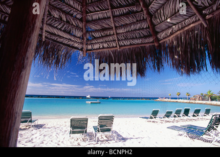 Vista di una spiaggia da sotto un ombrello Palapa Iguana Beach Aruba Foto Stock