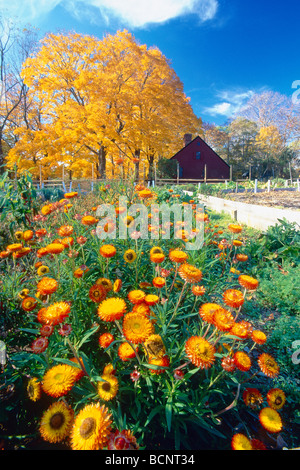 Vista verticale di una caduta del giardino storico Vicks Farm cava Jockey parco dello stato del New Jersey Foto Stock