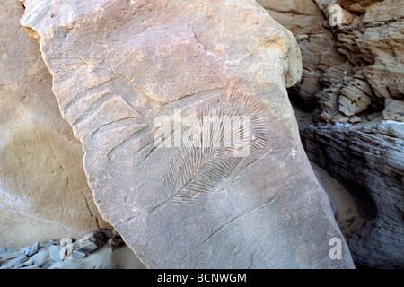 Sudan nubia graffiti rupestri nel deserto occidentale Foto Stock