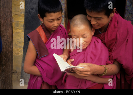 Qinghai tibet i monaci del monastero di Drepung Foto Stock