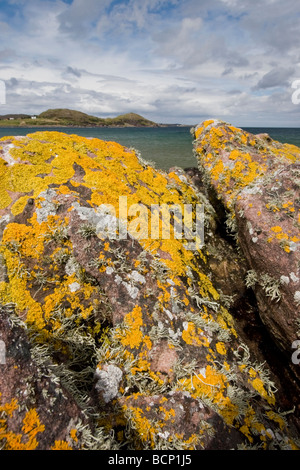 Rocce e licheni, Gaineamh Smo, vicino a Poolewe Foto Stock