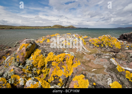 Rocce e licheni, Gaineamh Smo, vicino a Poolewe Foto Stock