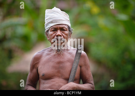 Coltivatore di riso, nr Ubud, Bali, Indonesia Foto Stock