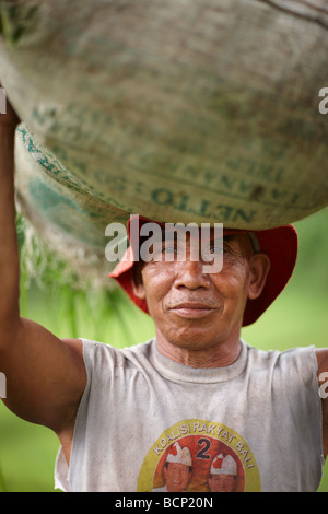 Un agricoltore che porta un sacco di riso sulla sua testa, nr Tirtagangga, Bali, Indonesia Foto Stock